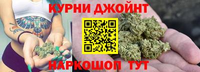 шишки Балашиха