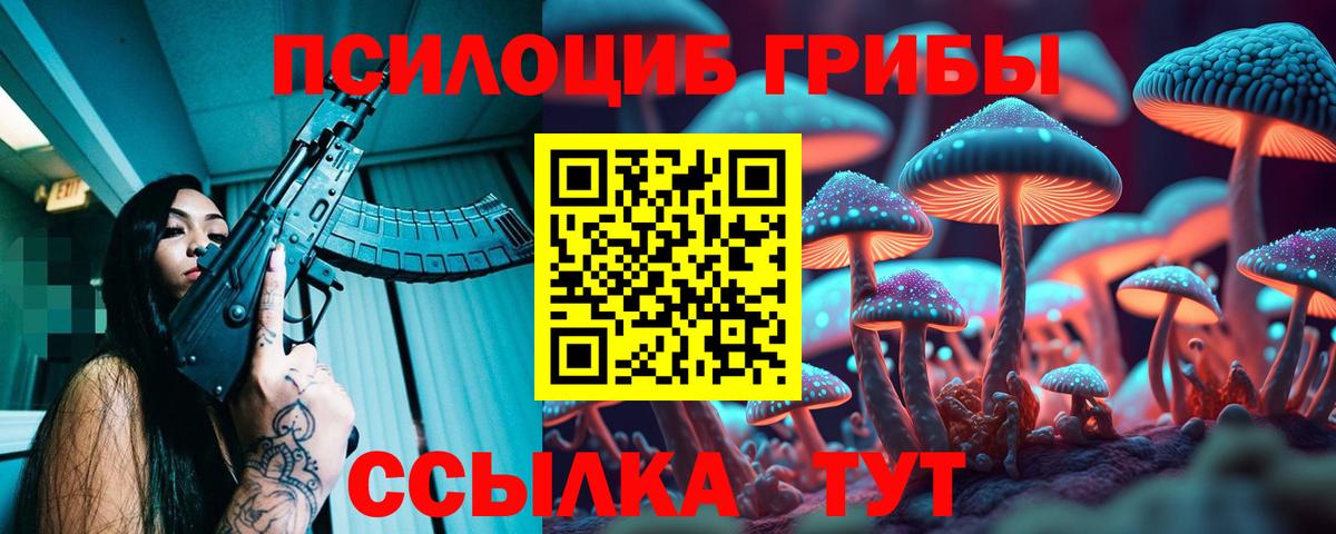 Домодедово  купить наркоту  Вход с VPN  Галлюциногенные грибы MAGIC MUSHROOMS 